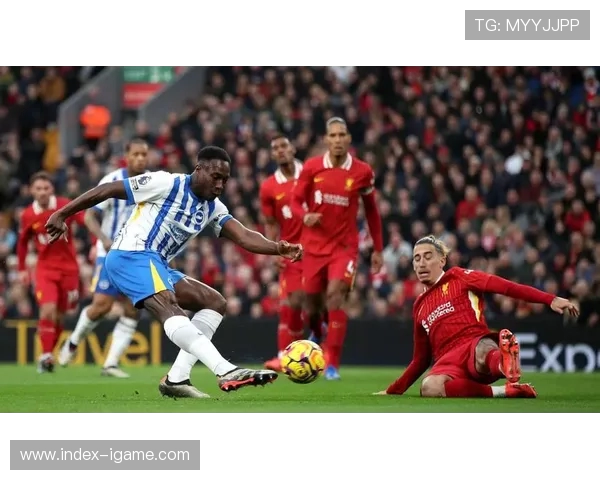 布莱顿与利物浦精彩对决直播回顾及赛后分析